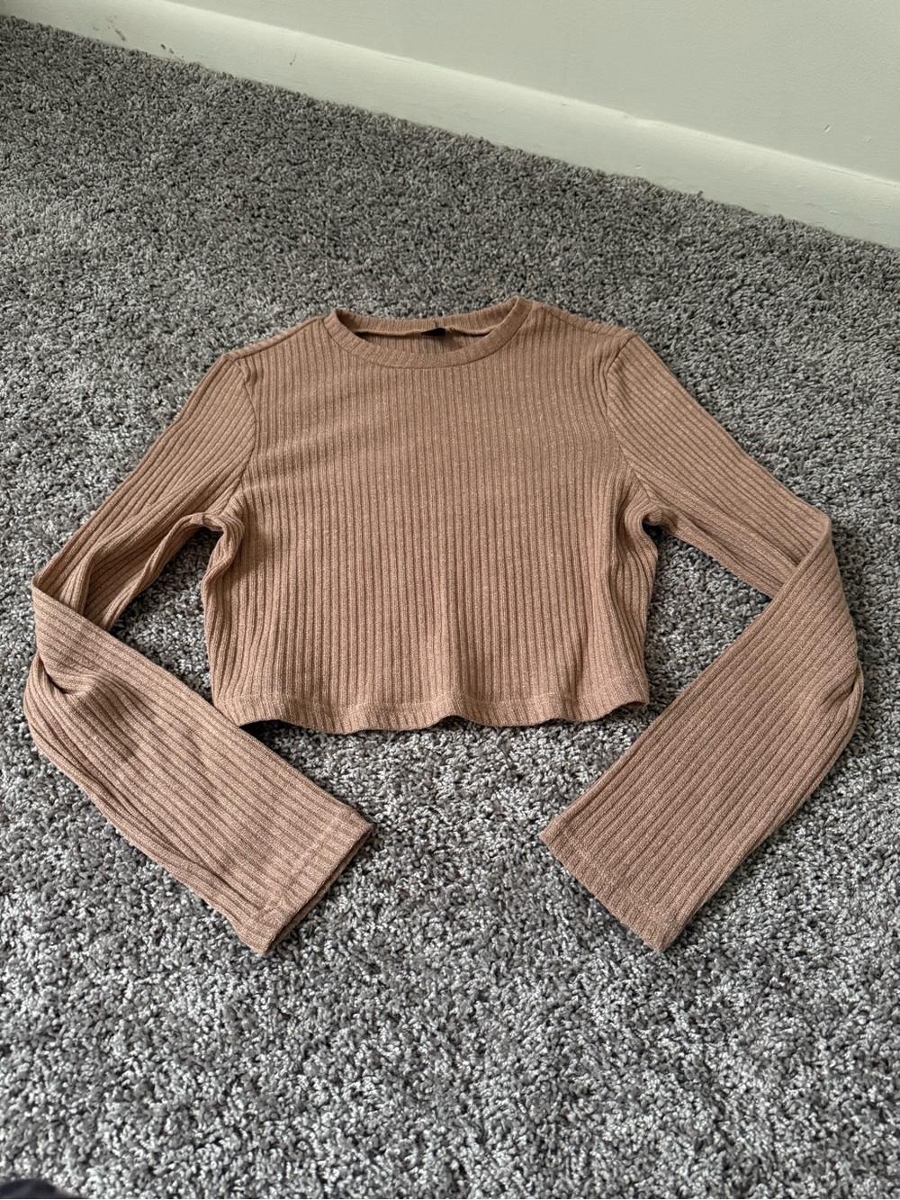 Long-Sleeve Cropped Top